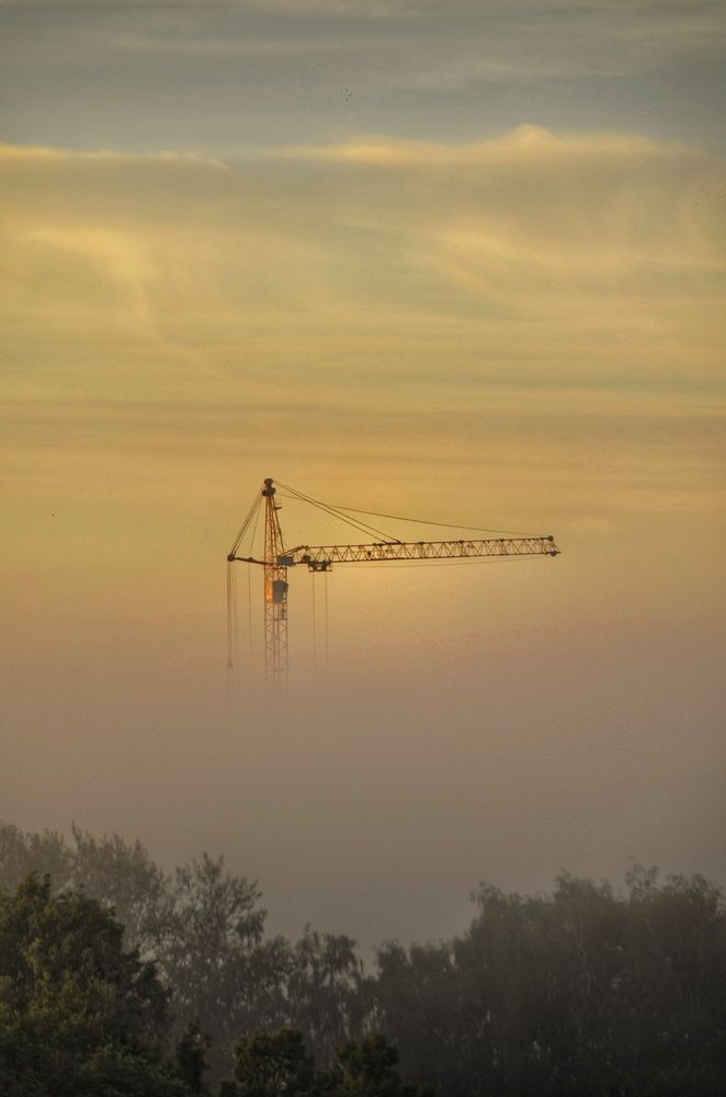 Photograph by Алена Самошина