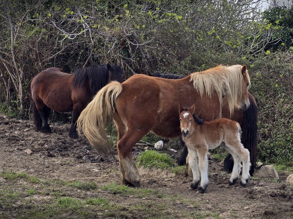 Photograph by Марина Виноградова