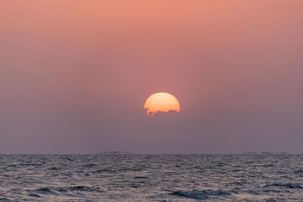 Photograph by Михаил Косолапов
