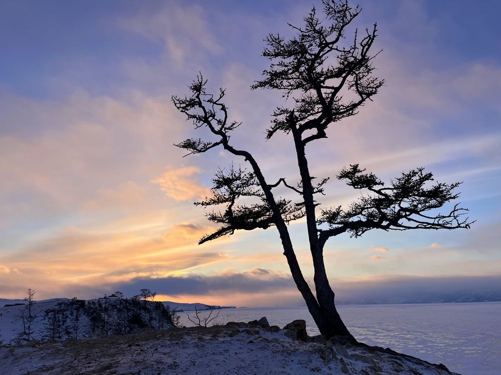 Photograph by Дарья Софронова