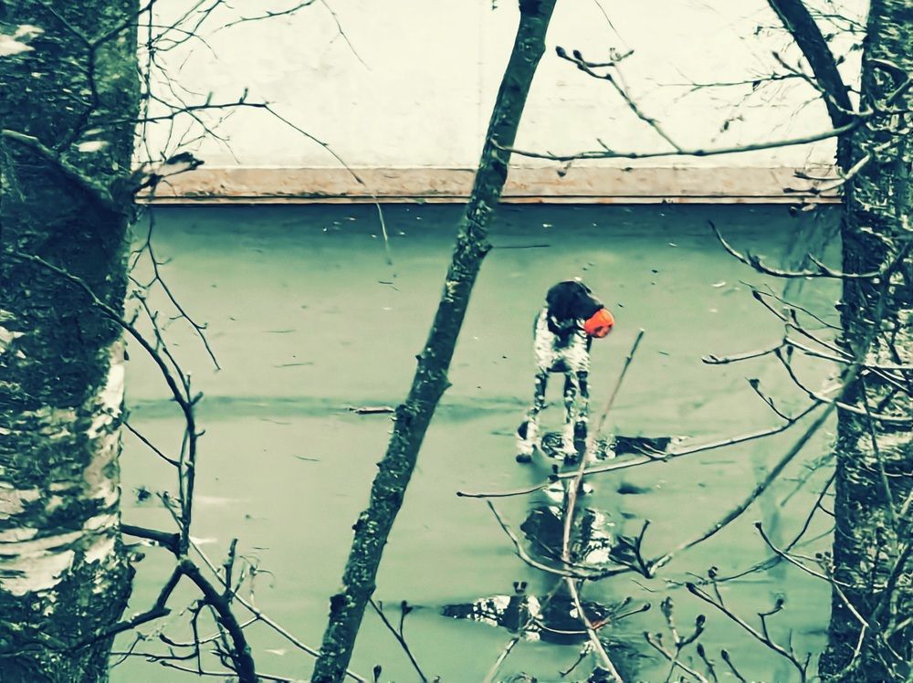 Photograph by Светлана Морева