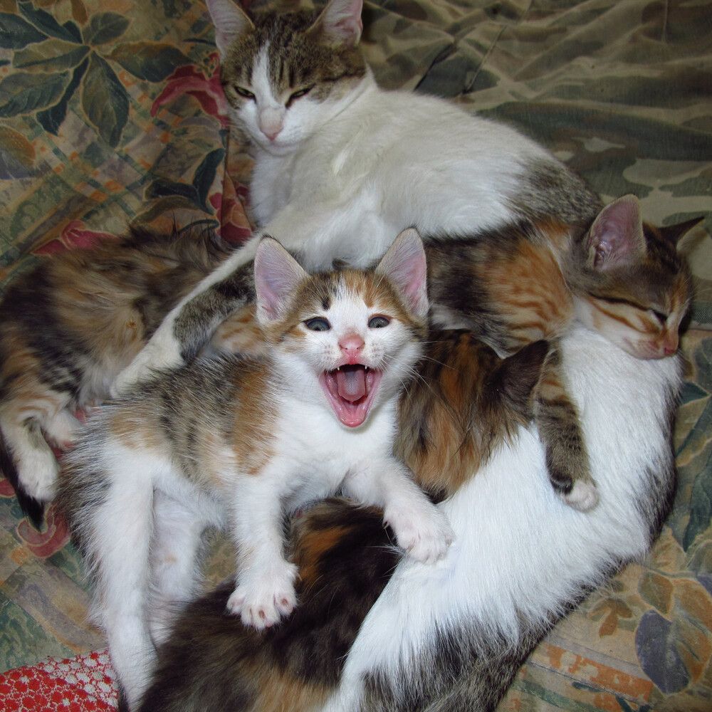 Photograph by Ульяна Кузьмина