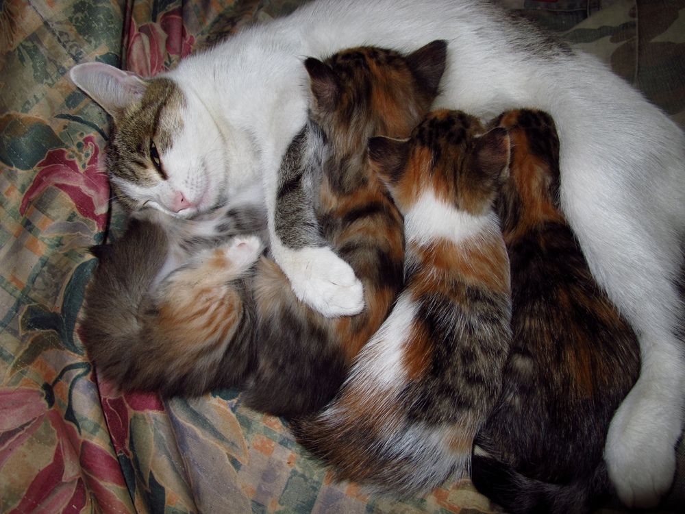 Photograph by Ульяна Кузьмина