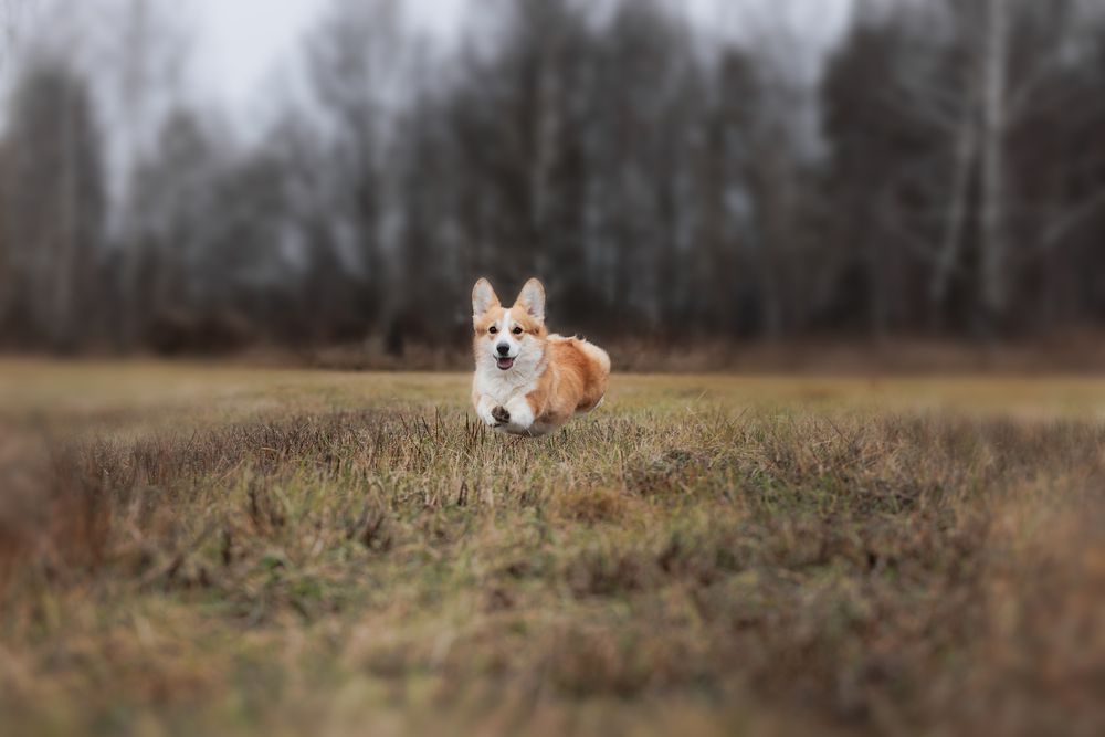 Photograph by Наталья Кирина