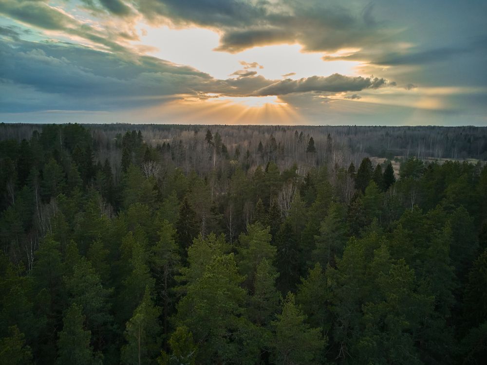 Photograph by Алексей Малов