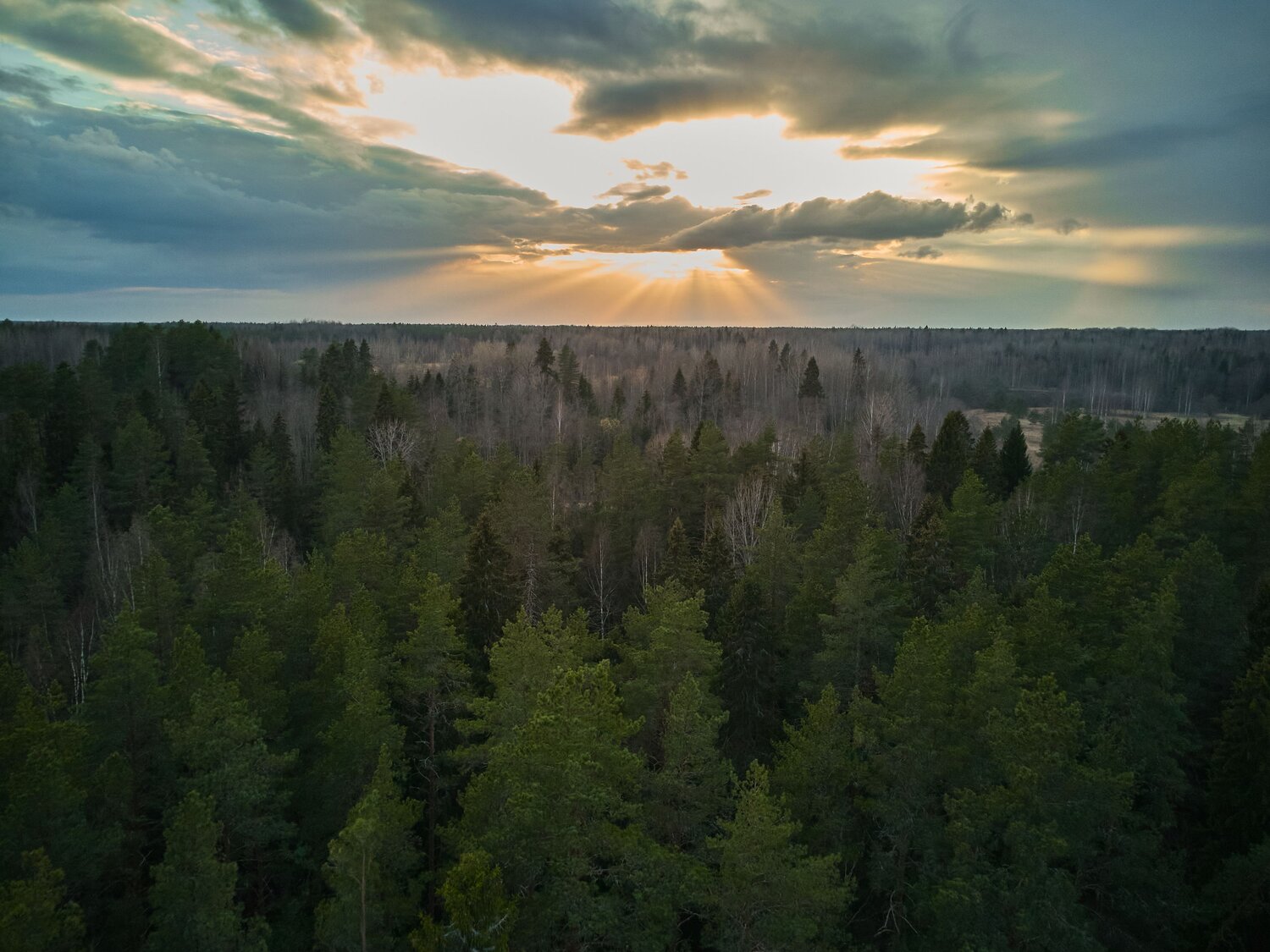Photo #13495707