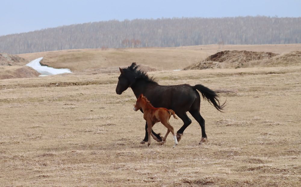 Photograph by Наталья Юрова