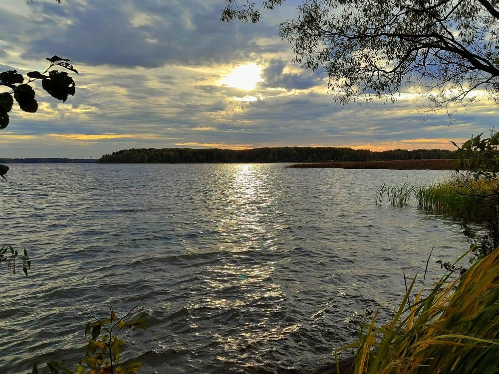 Photograph by Василиса