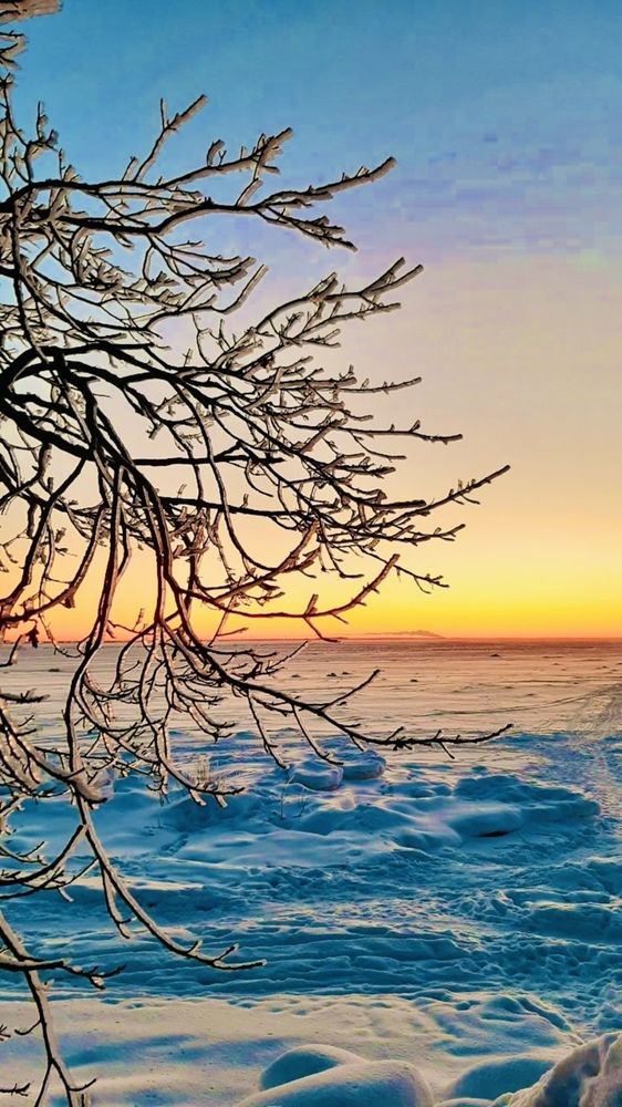 Photograph by Anna Krivorucko