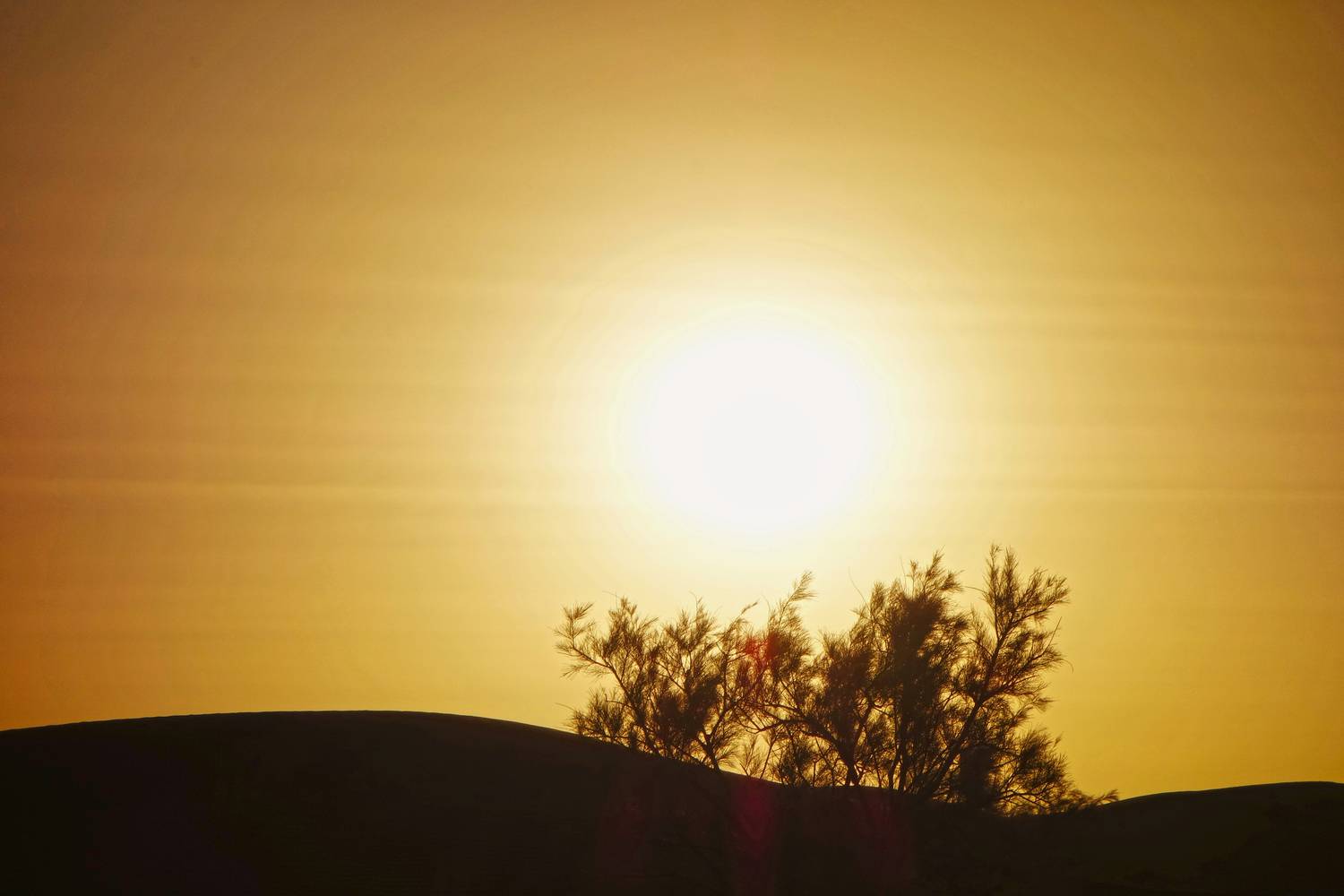 Atardece, que no es poco