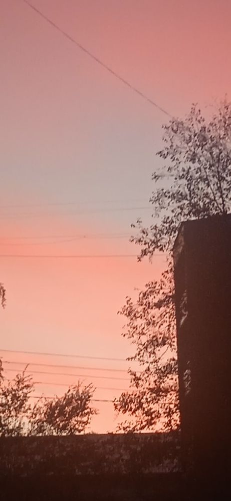 Фотография автора Вероника Пунгина