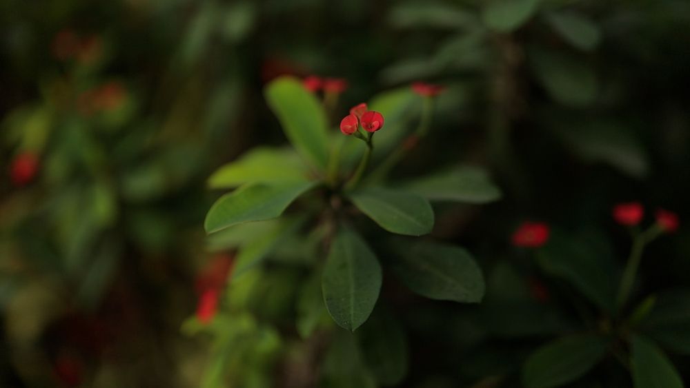 Photograph by Taksh Mavani