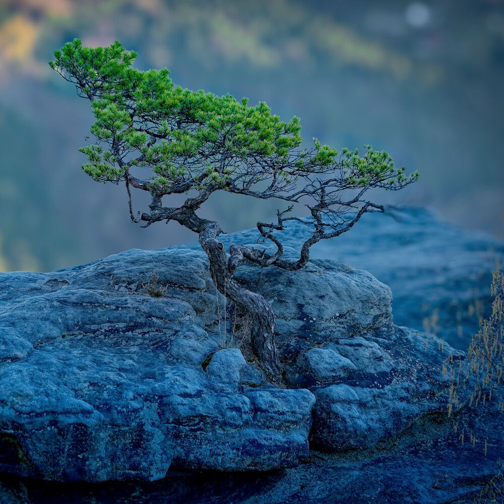 Photograph by Alexey Shaporin