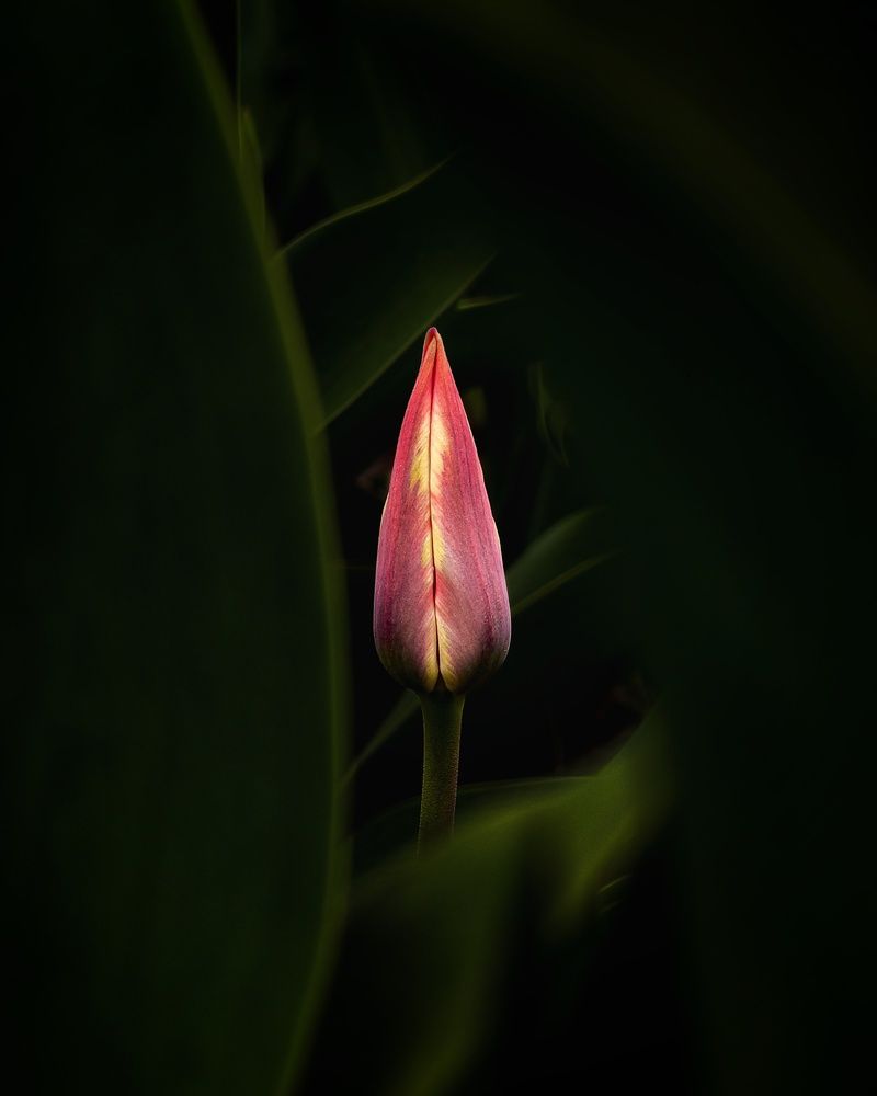 Photograph by Владимир Ли