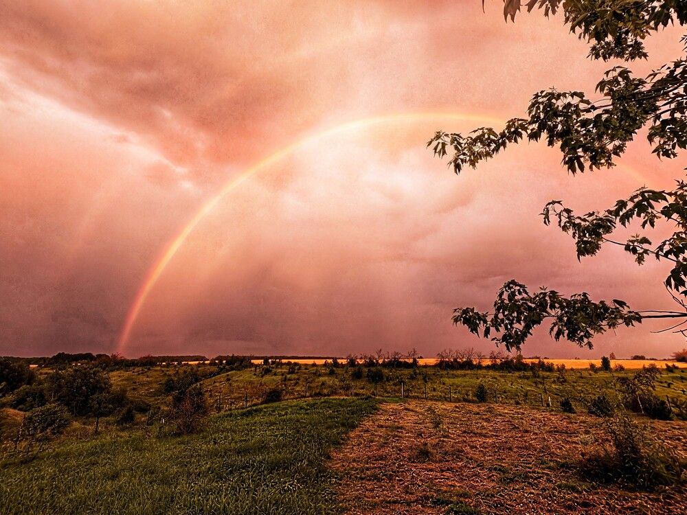 Photograph by Любовь Колмакова