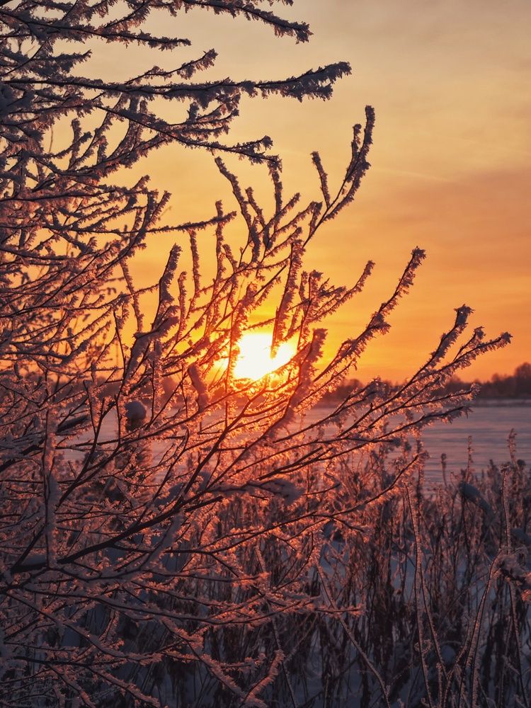 Photograph by Вячеслав Щёголев