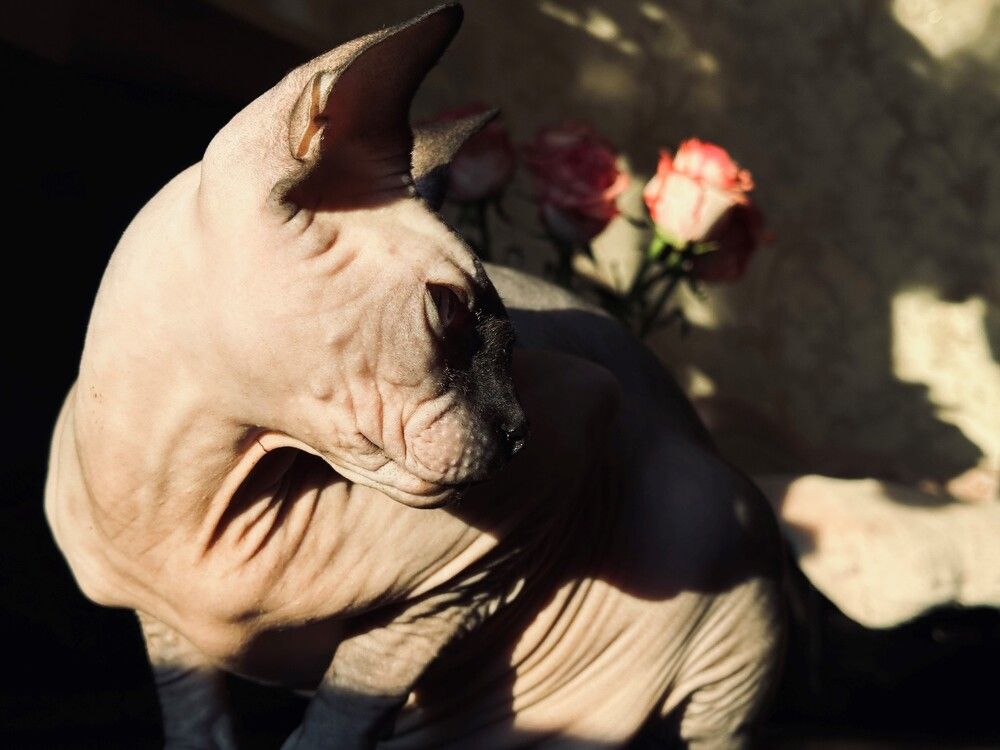 Фотография автора Мария Сущенко