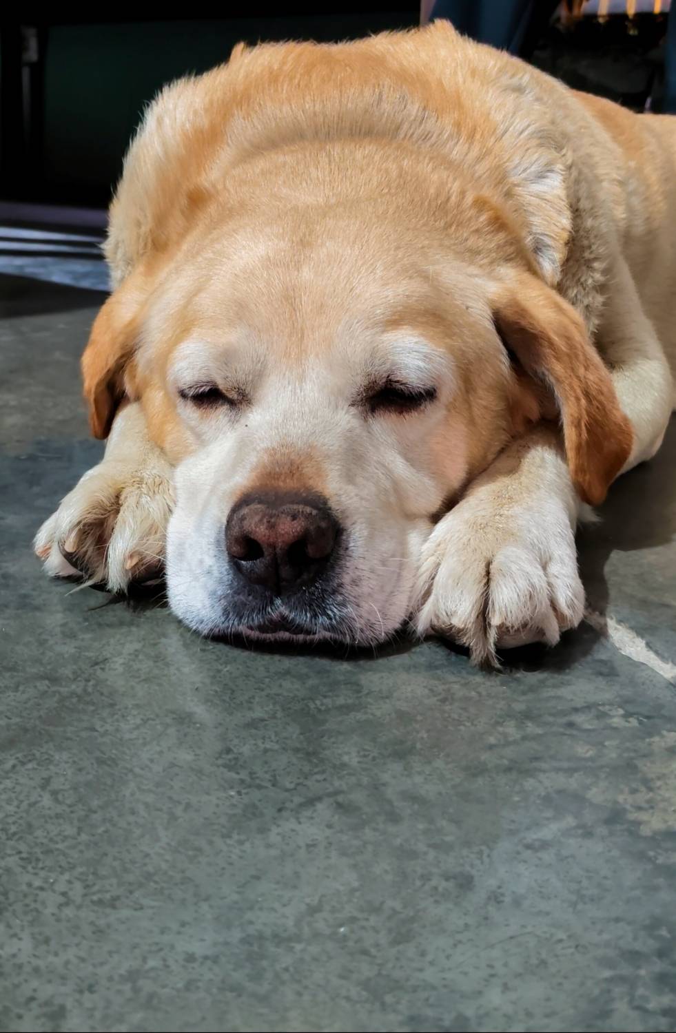 Sleeping beauty.