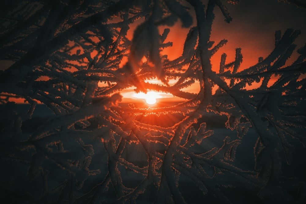 Photograph by Алмаз Пирматов