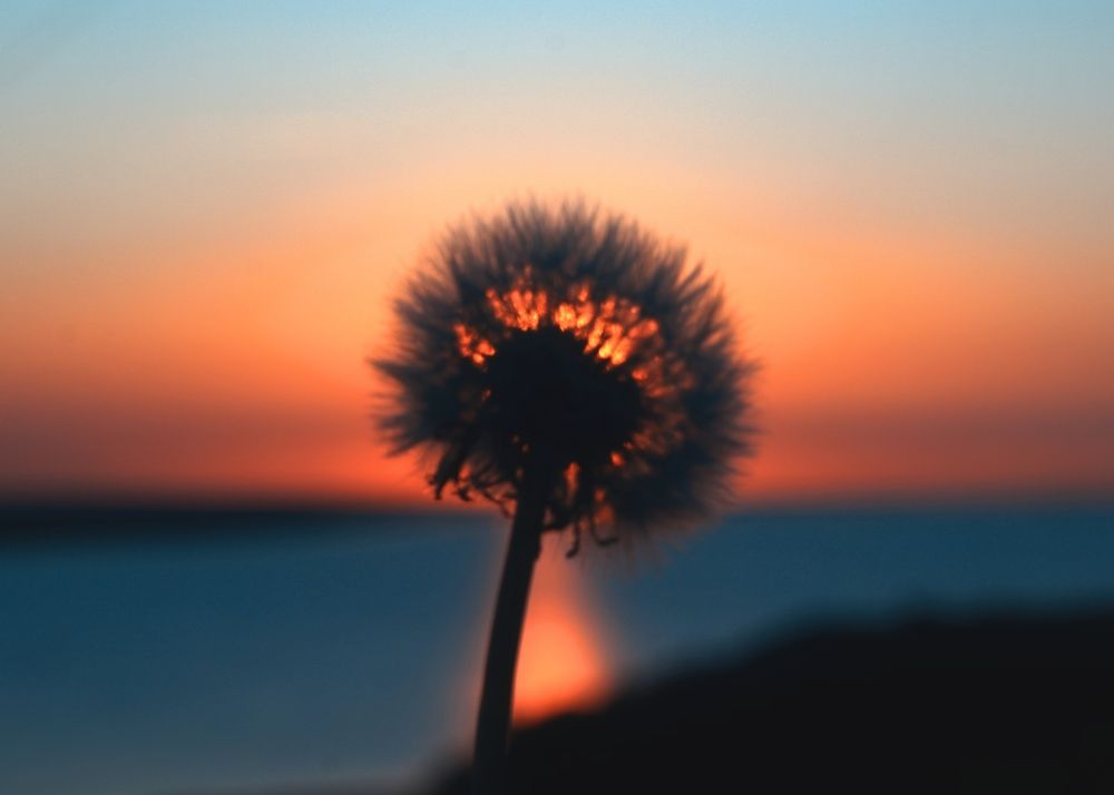 Photograph by Алмаз Пирматов