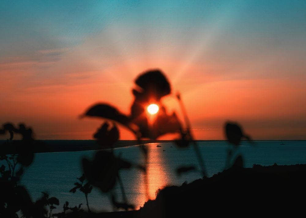 Photograph by Алмаз Пирматов