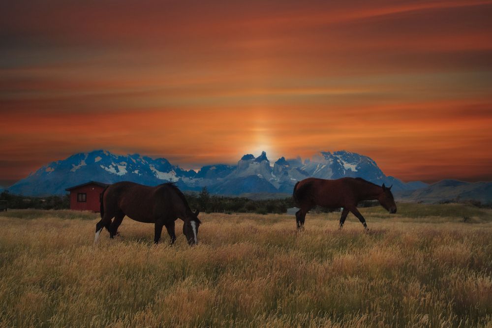 Photograph by Tibi Engelman