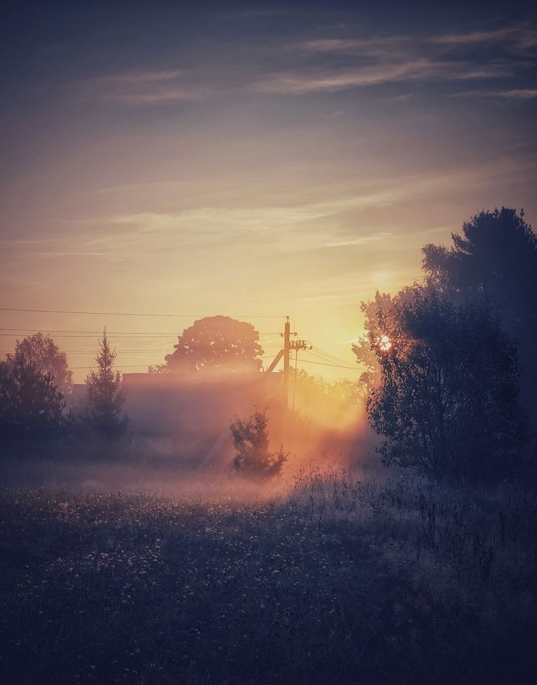 Photograph by Олеся Зеленщикова