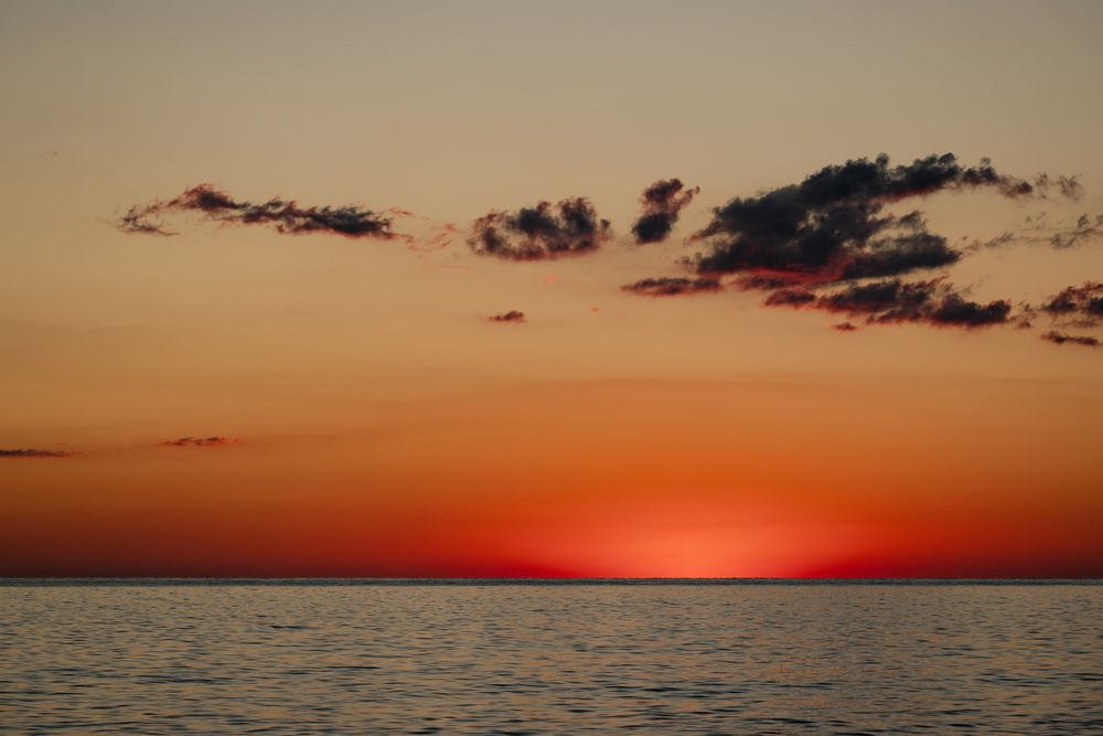 Photograph by Анастасия Богомолова