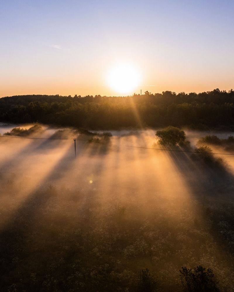Photograph by Дмитрий Костяков