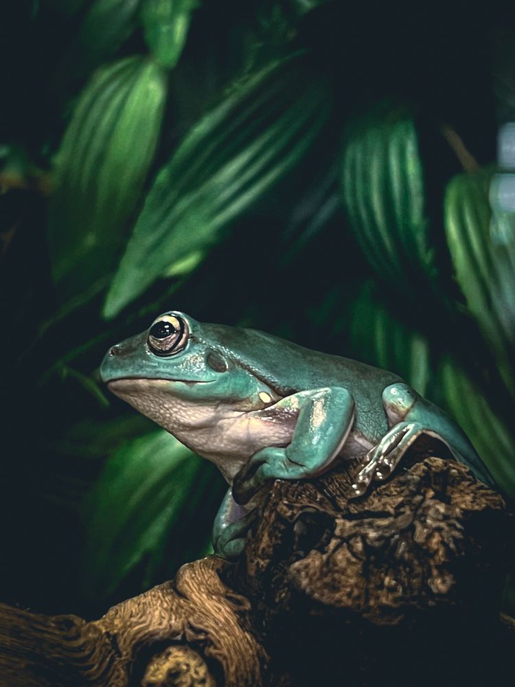 Photograph by Игорь Толкачев