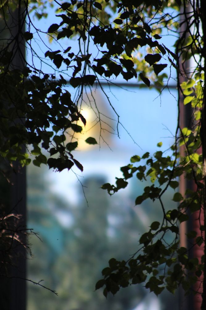 Photograph by Дмитрий Золин