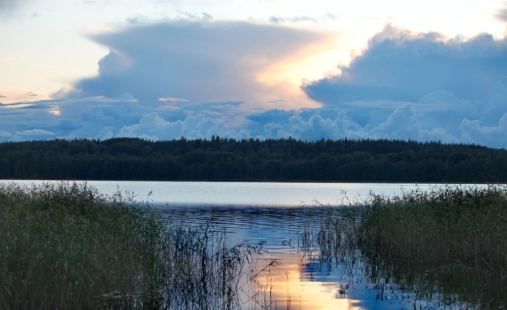 Photograph by Ольга Рыбина