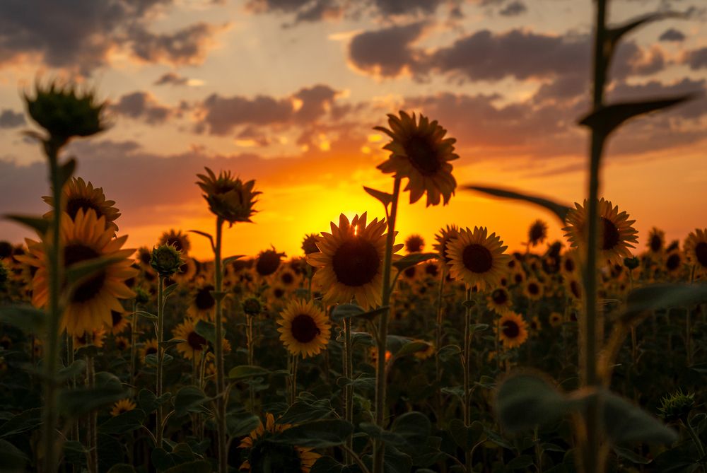 Photograph by Aндрей Иванов