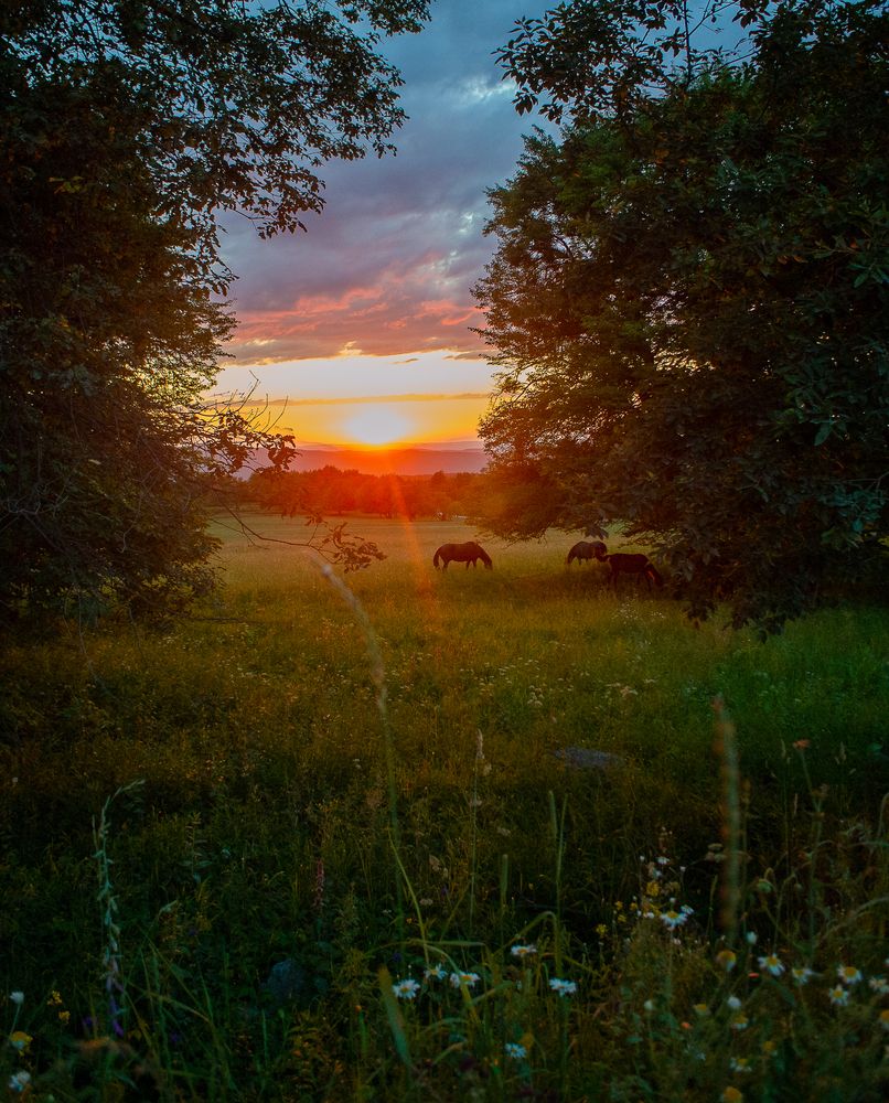 Photograph by Aндрей Иванов