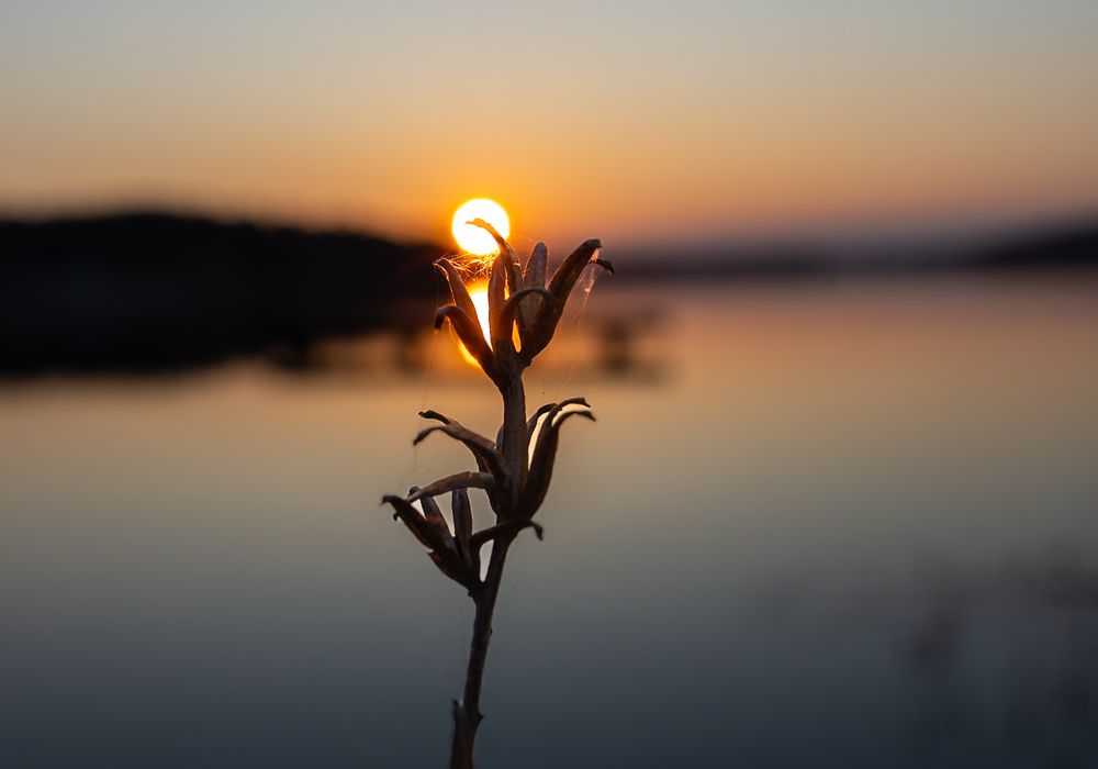 Photograph by Lina Tomkevičienė