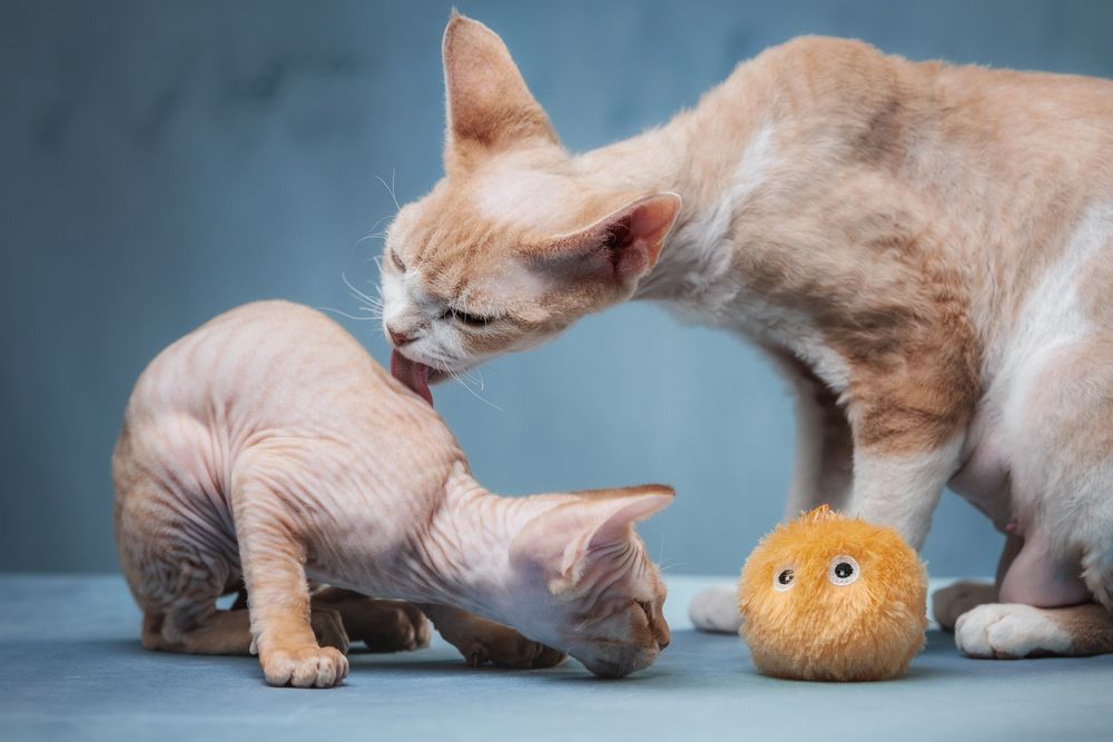 Photograph by Зубкова Юлия