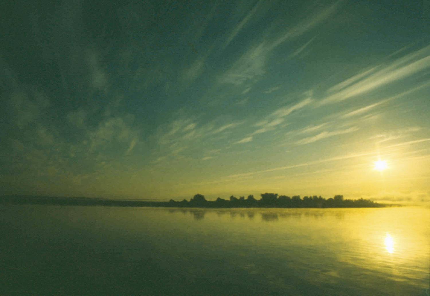 Photo #13497939