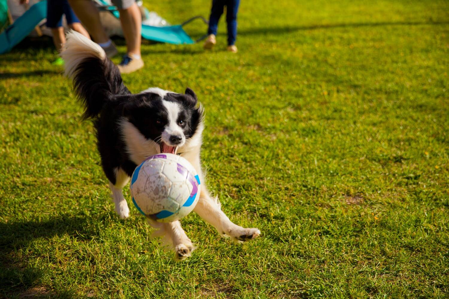 Фотография #13498038