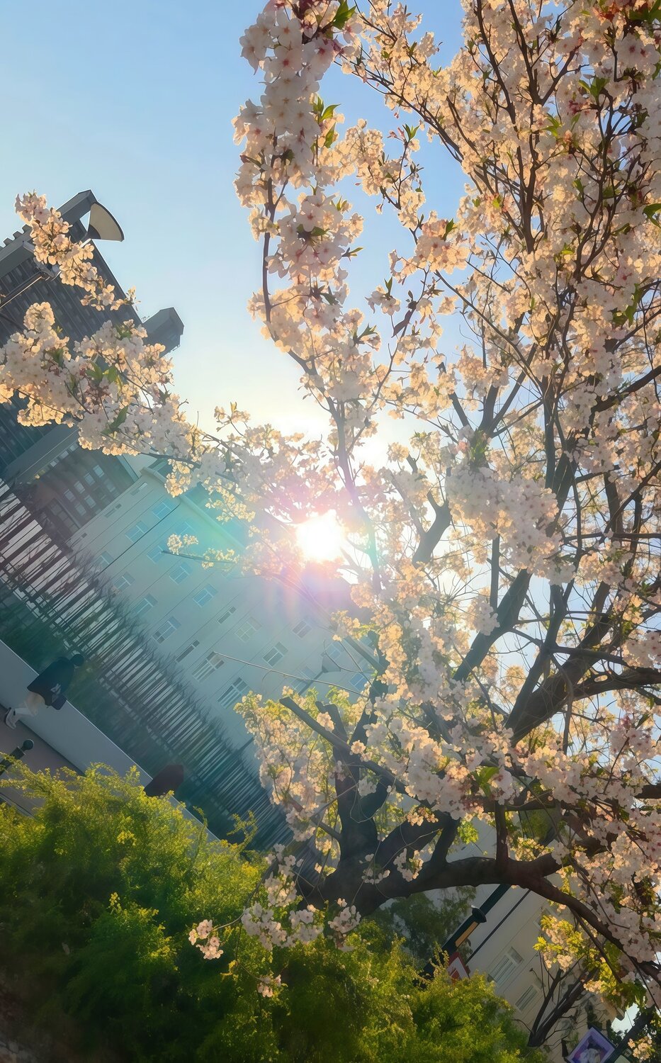 A Gentle Spring Awakening
