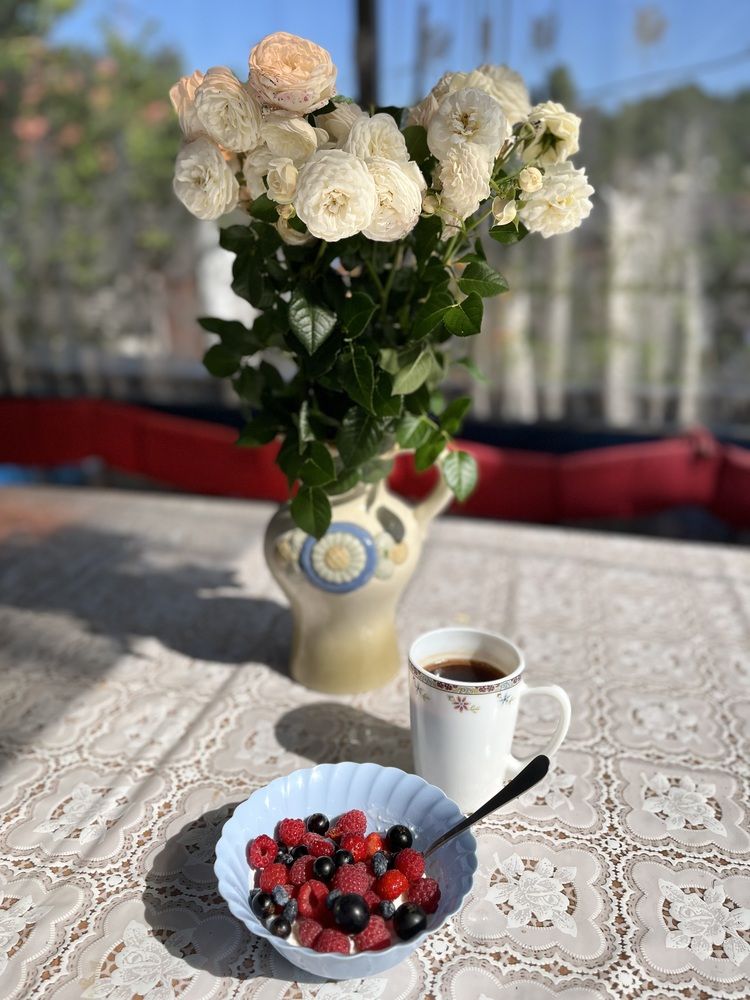 Photograph by Елена Вешнякова