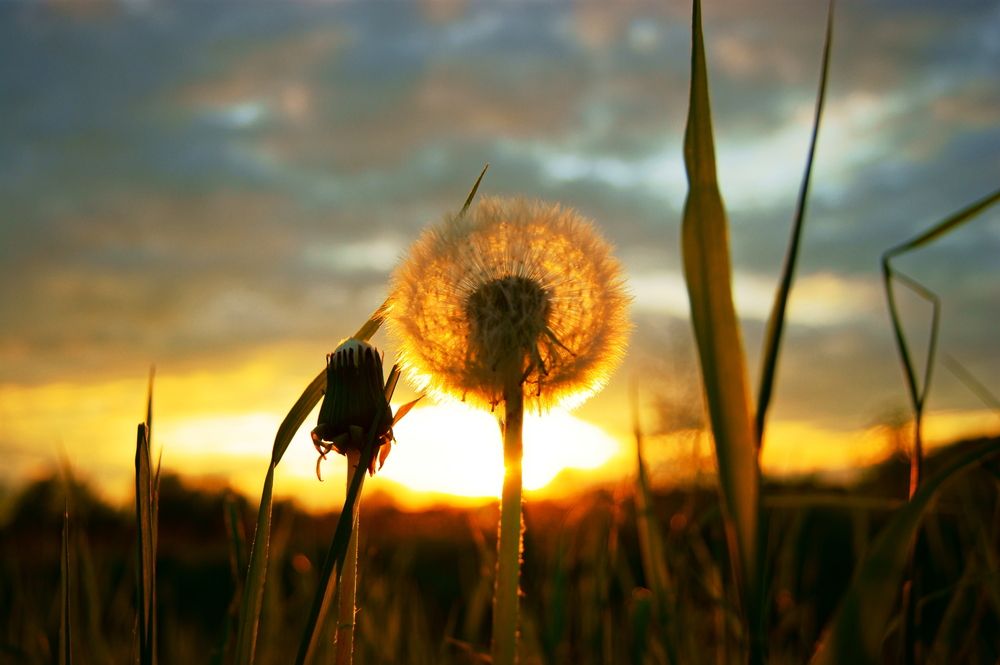 Photograph by Sergej Roor