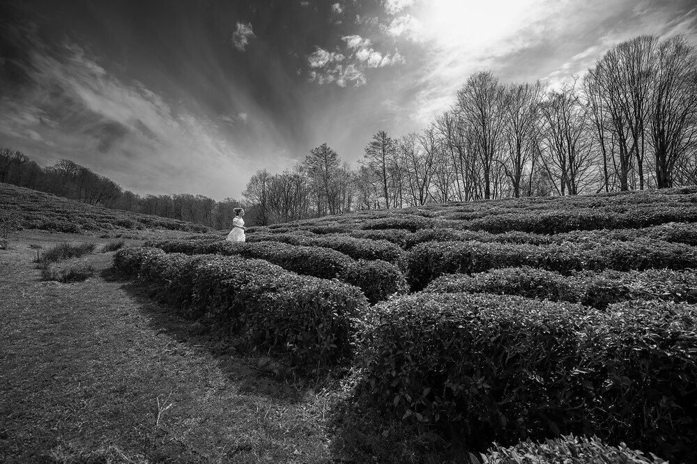 Photograph by Юлия Григорьева