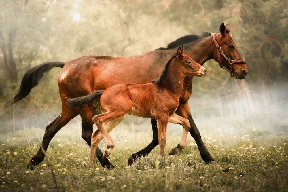 Photograph by Мария Грачева