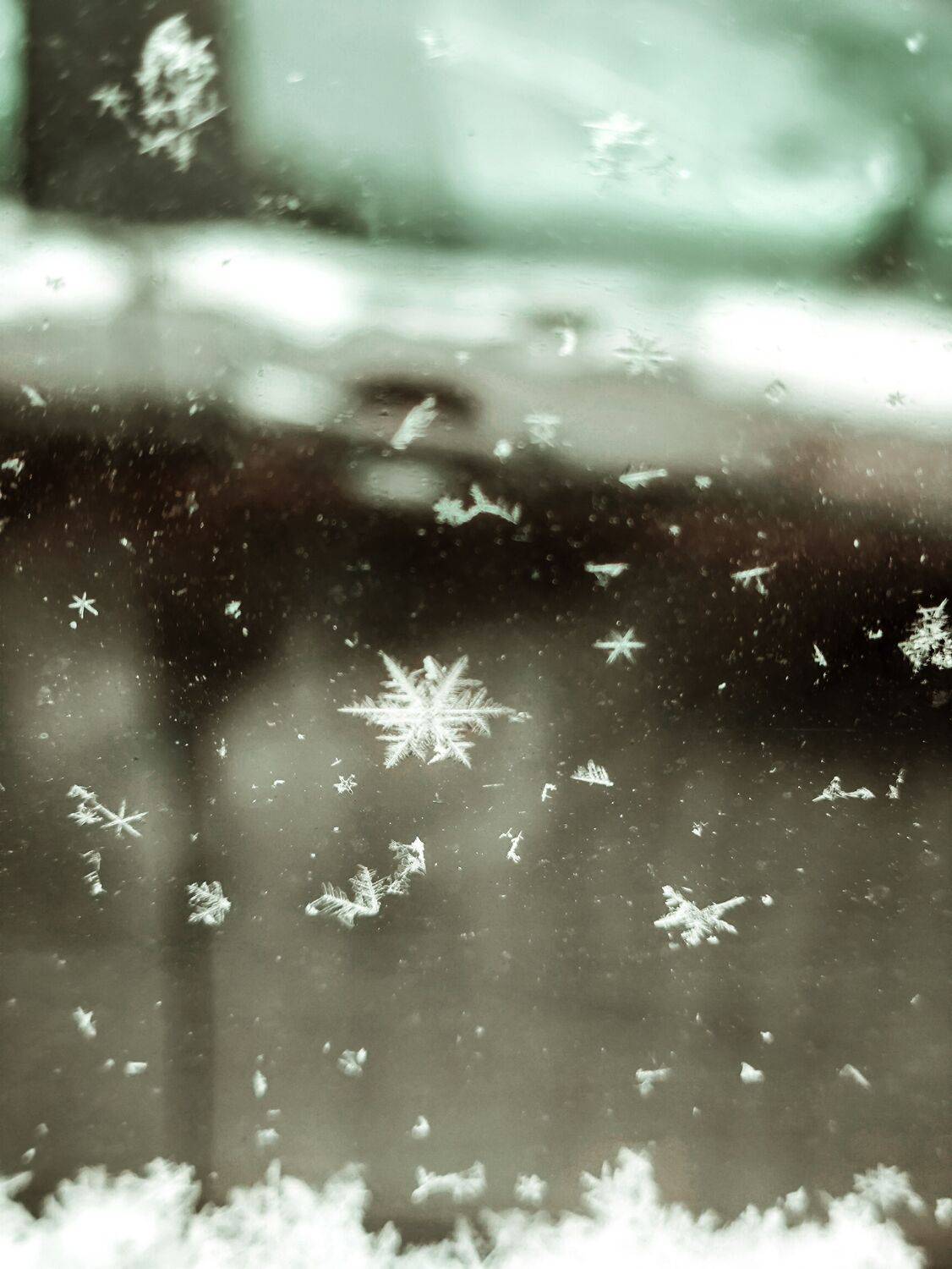 Photo #13498821