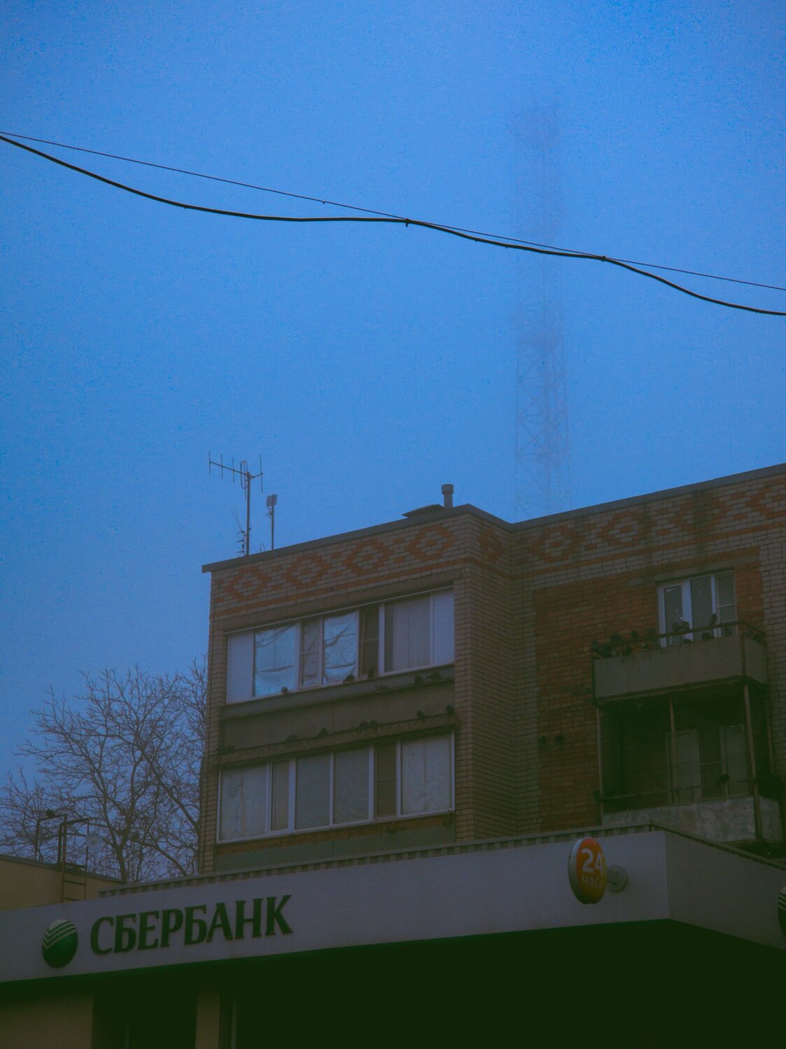 Photo #13498881