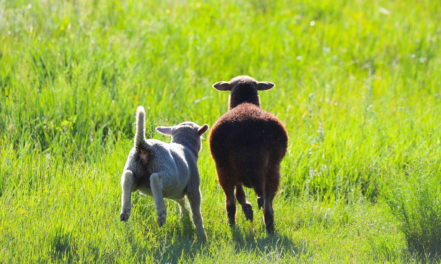 В поле с мамой