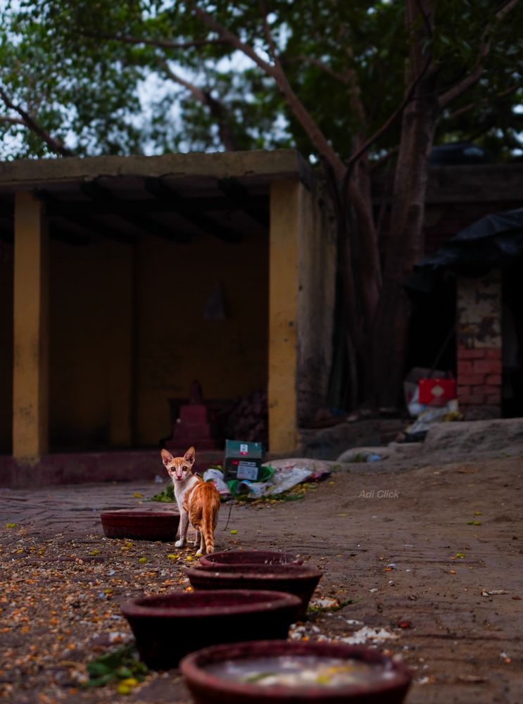 Photograph by Aditya Chaubey