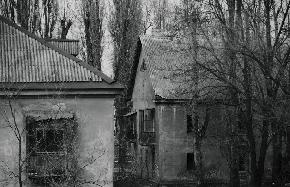 Photograph by Дарья Боева
