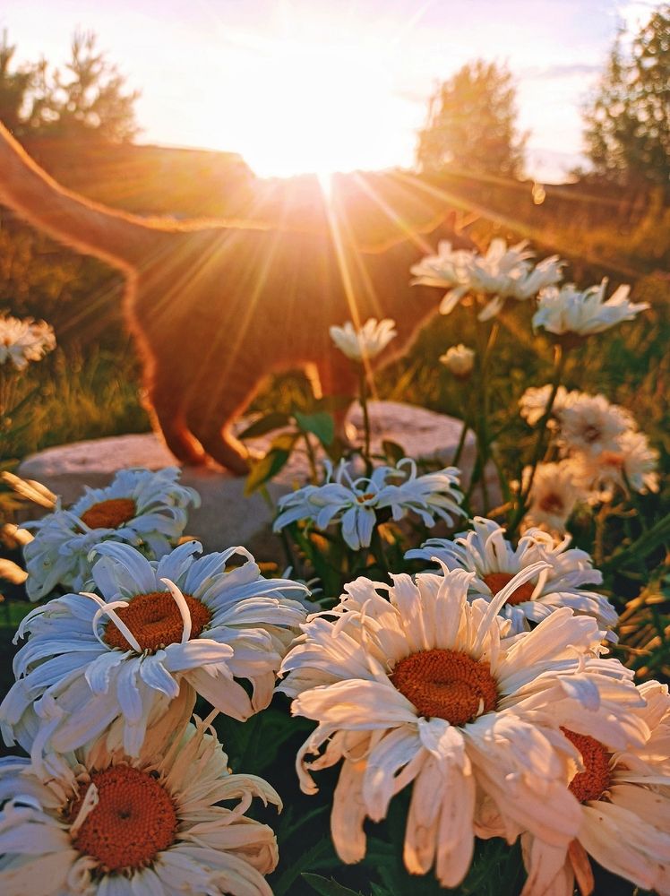 Photograph by Анна Захарчук