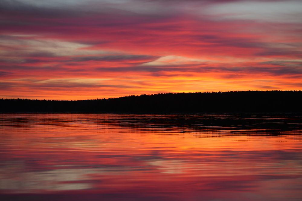 Photograph by Алексей Курносов